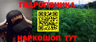 гашишное масло Будённовск