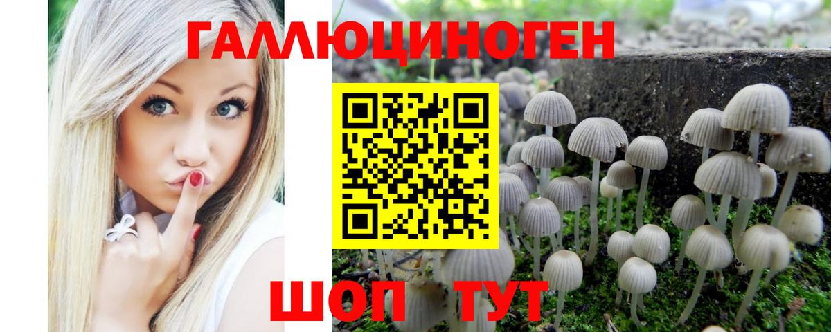 Галлюциногенные грибы GOLDEN TEACHER Балашов