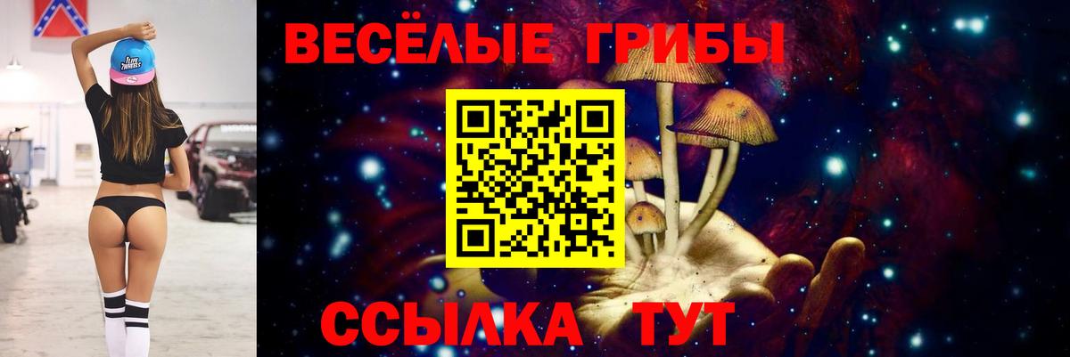 Псилоцибиновые грибы мицелий  Вход с VPN  Балашов 